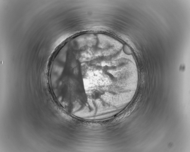 X0000093581071200711121055