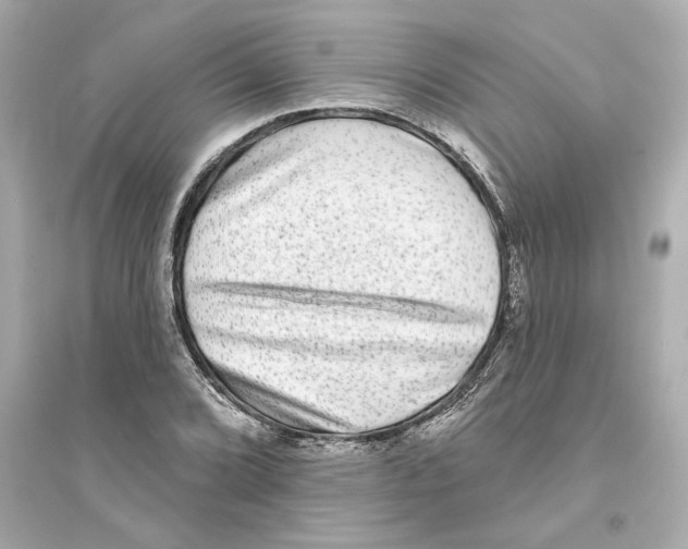 X0000093581072200711121055