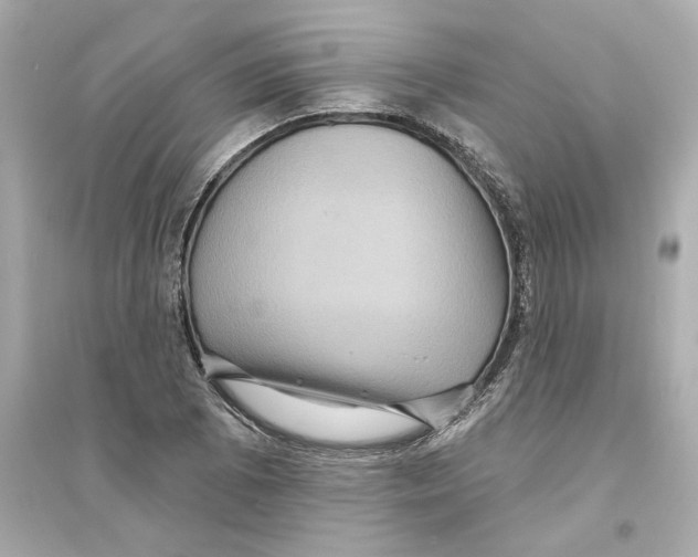 X0000093581073200711121055