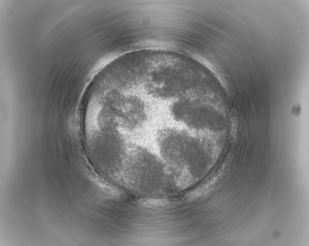 X0000093581074200711121055