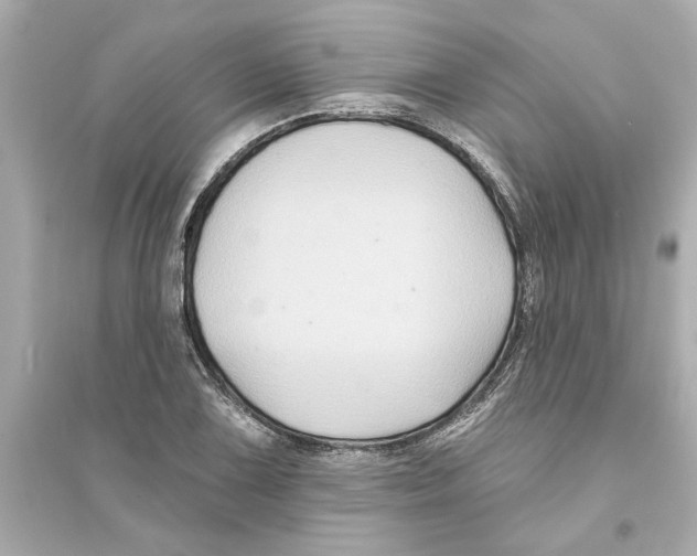 X0000093581075200711121055