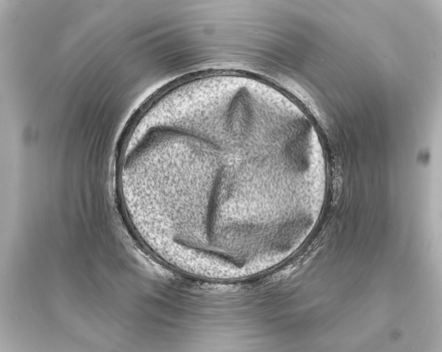 X0000093581076200711121055