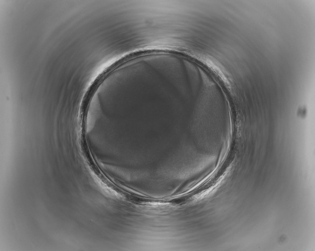 X0000093581077200711121055