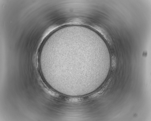 X0000093581078200711121055