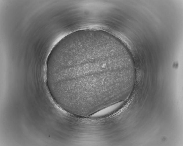 X0000093581079200711121055