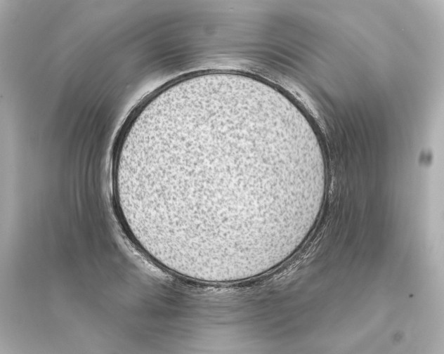 X0000093581080200711121055