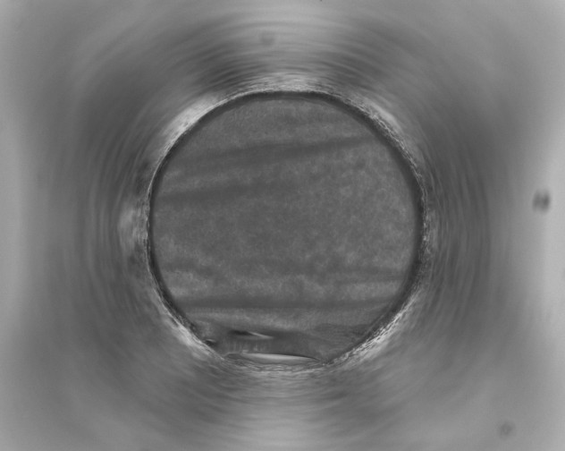 X0000093581081200711121055