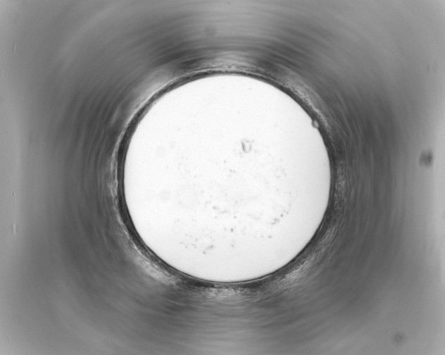 X0000093581082200711121055