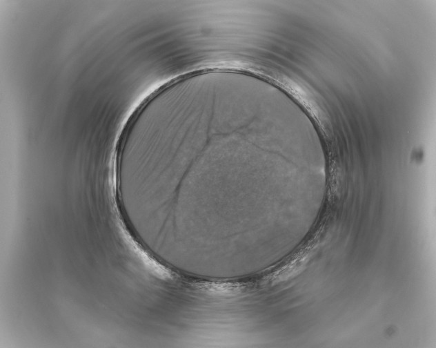 X0000093581084200711121055