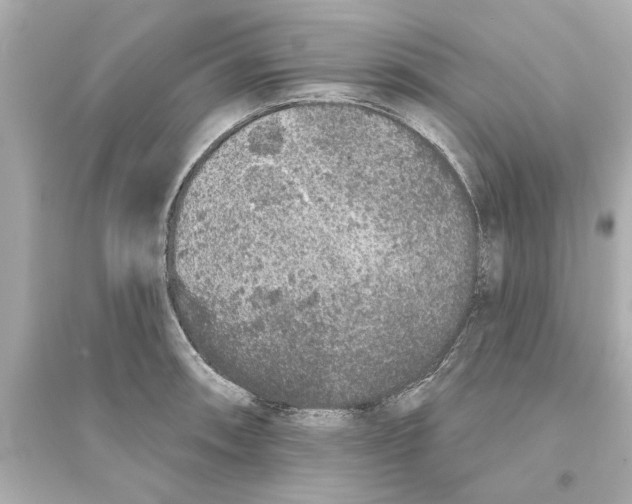 X0000093581090200711121055