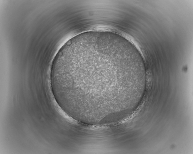 X0000093581091200711121055