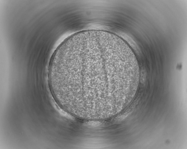 X0000093581094200711121055