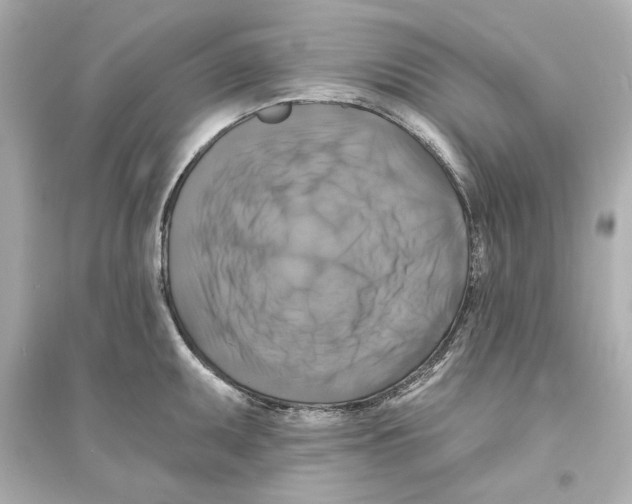 X0000093581095200711121055