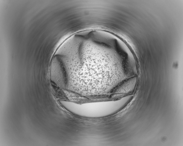 X0000093581097200711121055