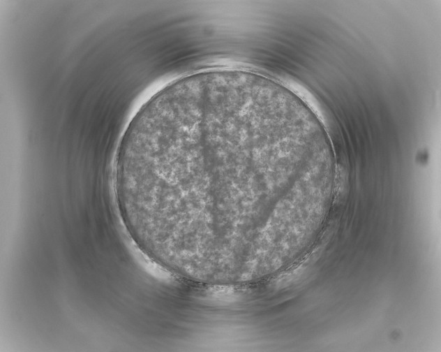 X0000093581098200711121055