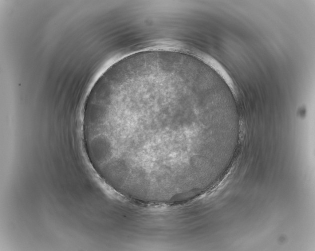 X0000093581099200711121055