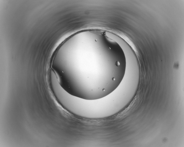 X0000093581101200711121055