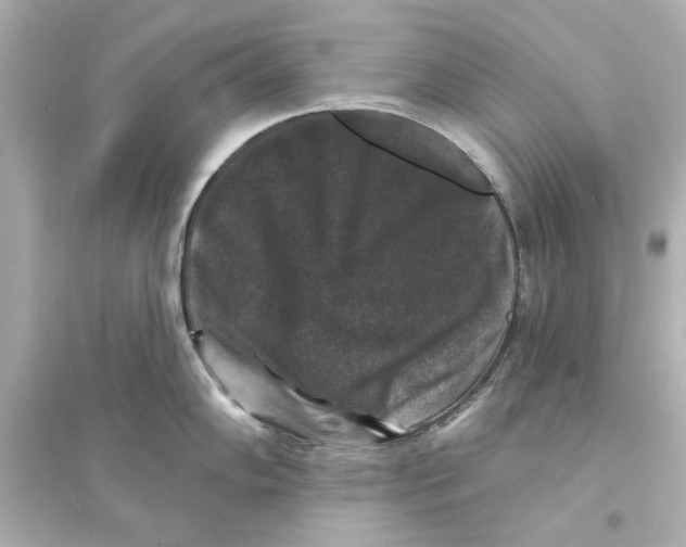 X0000093581102200711121055