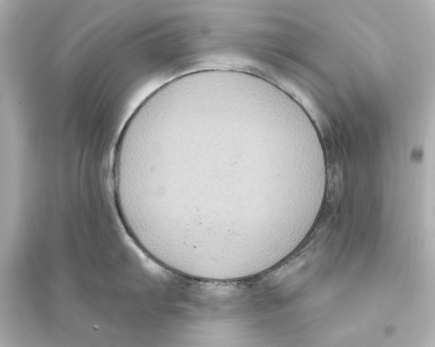 X0000093581103200711121055