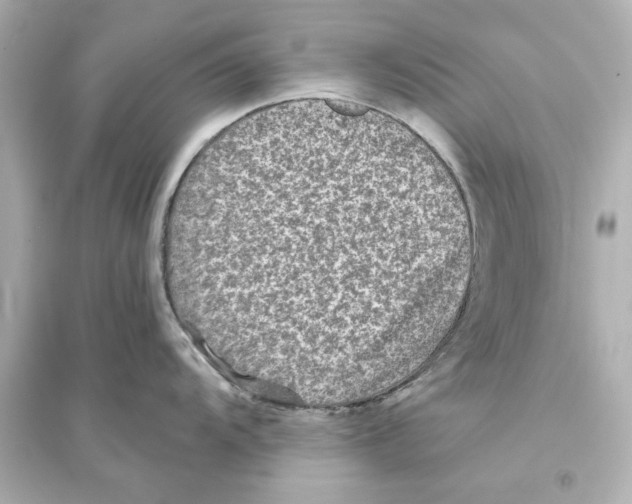 X0000093581104200711121055