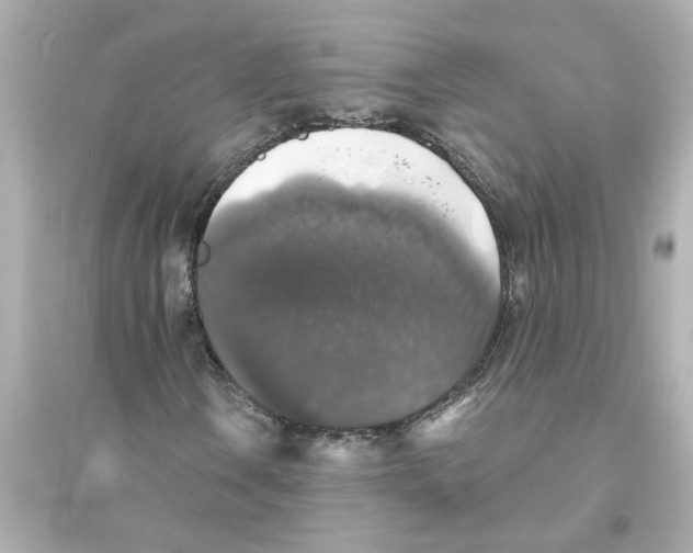 X0000093581106200711121054