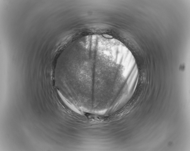 X0000093581108200711121054