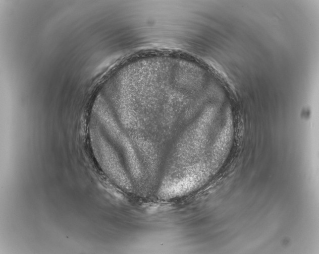 X0000093581110200711121054