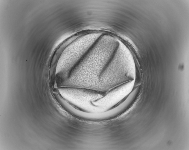 X0000093581114200711121054