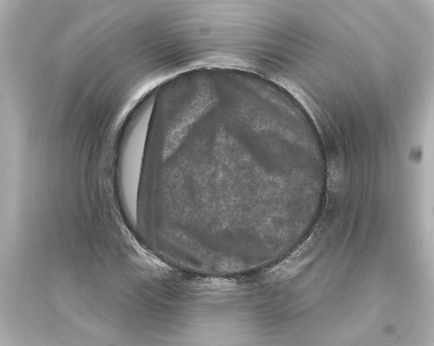 X0000093581115200711121054