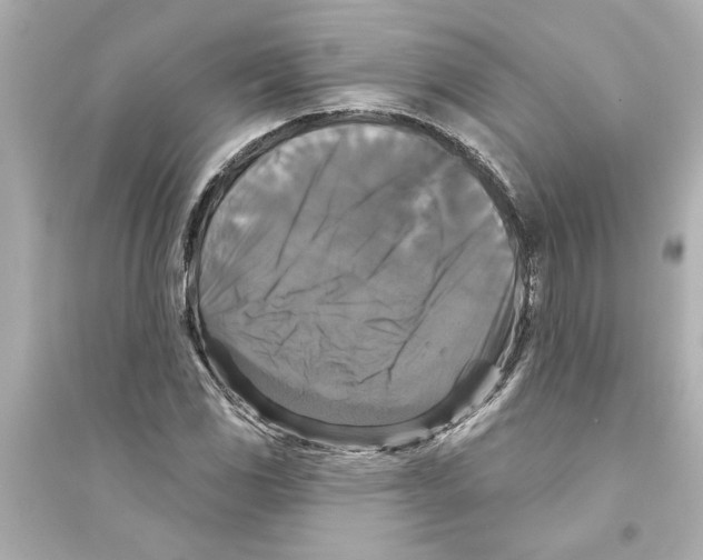 X0000093581117200711121054