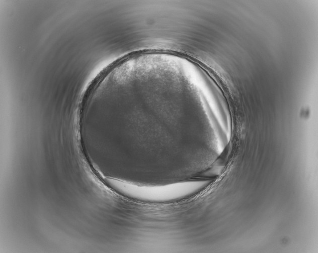 X0000093581120200711121054