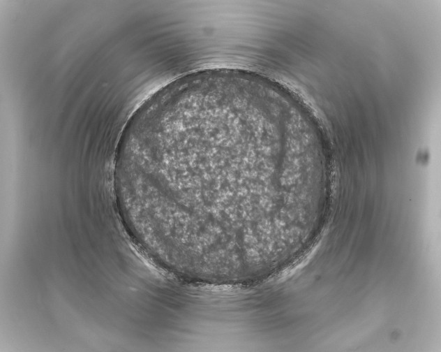 X0000093581121200711121054