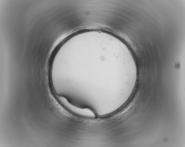 X0000093581122200711121054