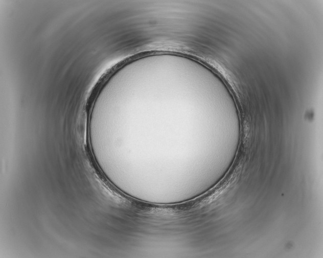 X0000093581123200711121054