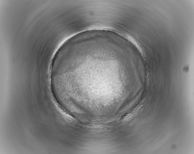 X0000093581124200711121054