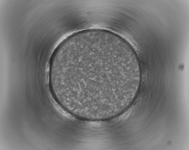 X0000093581126200711121054