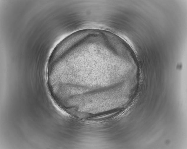 X0000093581128200711121054