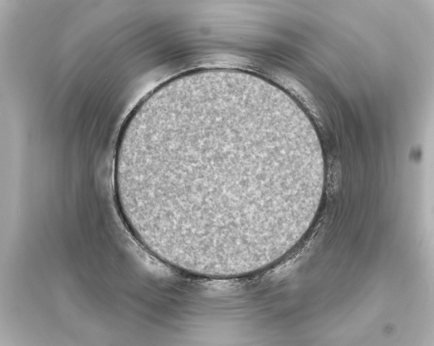 X0000093581130200711121054