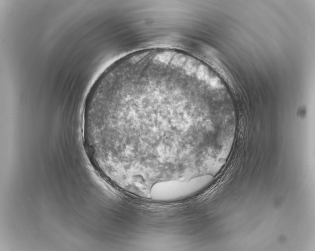 X0000093581132200711121054