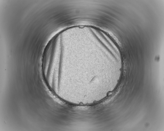 X0000093581134200711121054