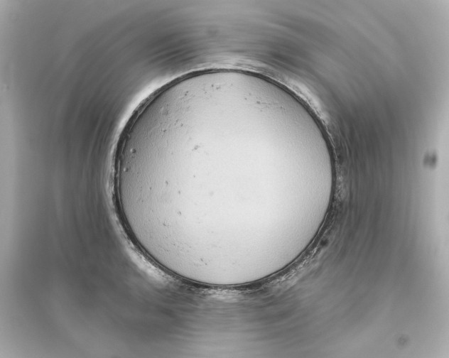 X0000093581136200711121054