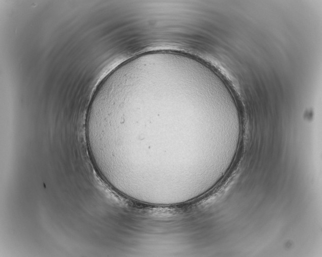 X0000093581137200711121054