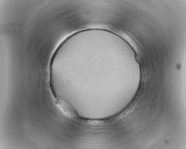 X0000093581140200711121054