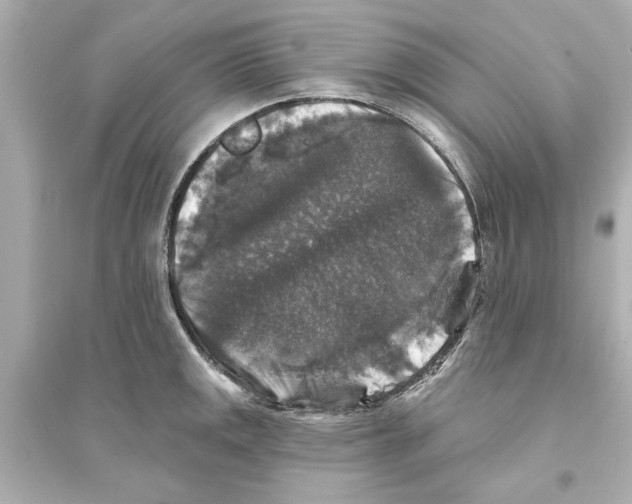 X0000093581141200711121054