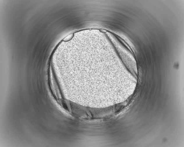 X0000093581142200711121054