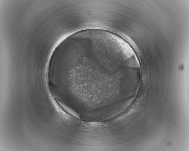 X0000093581144200711121054