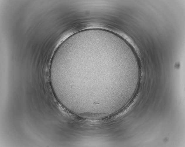 X0000093581145200711121054