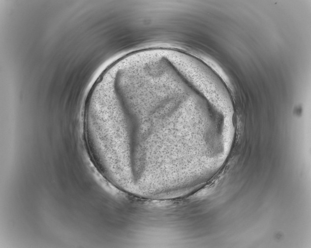 X0000093581148200711121054