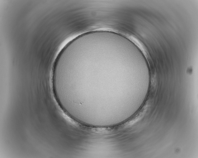 X0000093581149200711121054