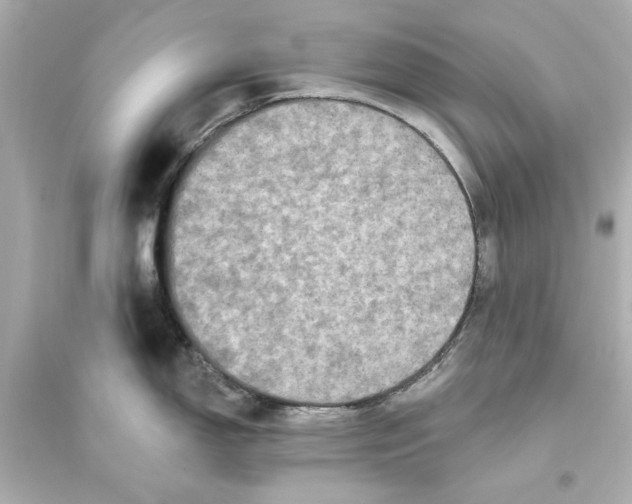 X0000093581150200711121054